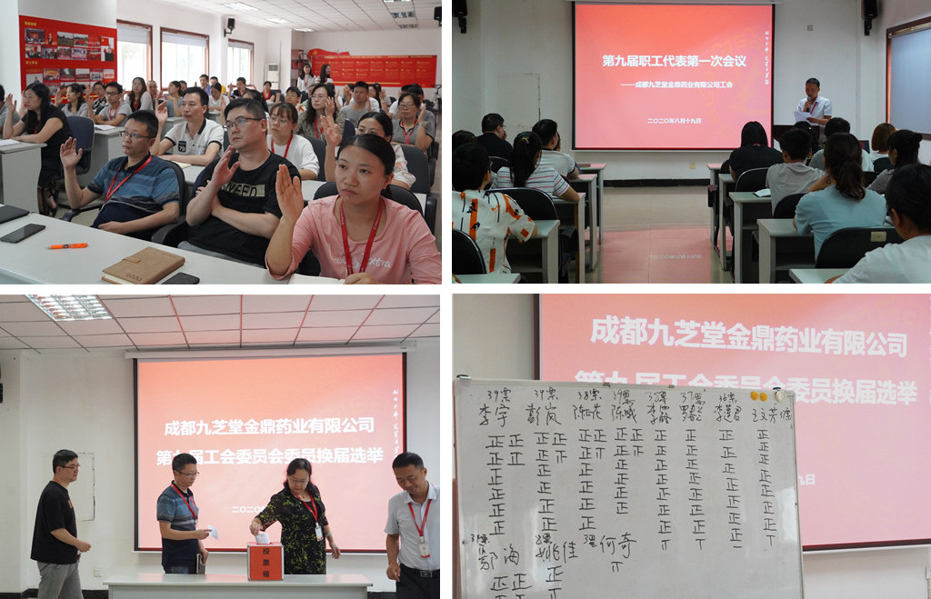 成都九芝堂金鼎藥業(yè)有限公司工會(huì)召開第九屆職工代表第一次會(huì)議
