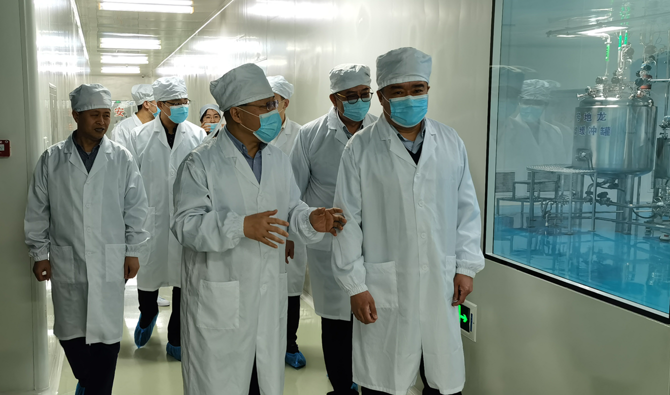 黑龍江省藥品監(jiān)督管理局副局長王曉剛一行蒞臨友搏藥業(yè)進行檢查指導