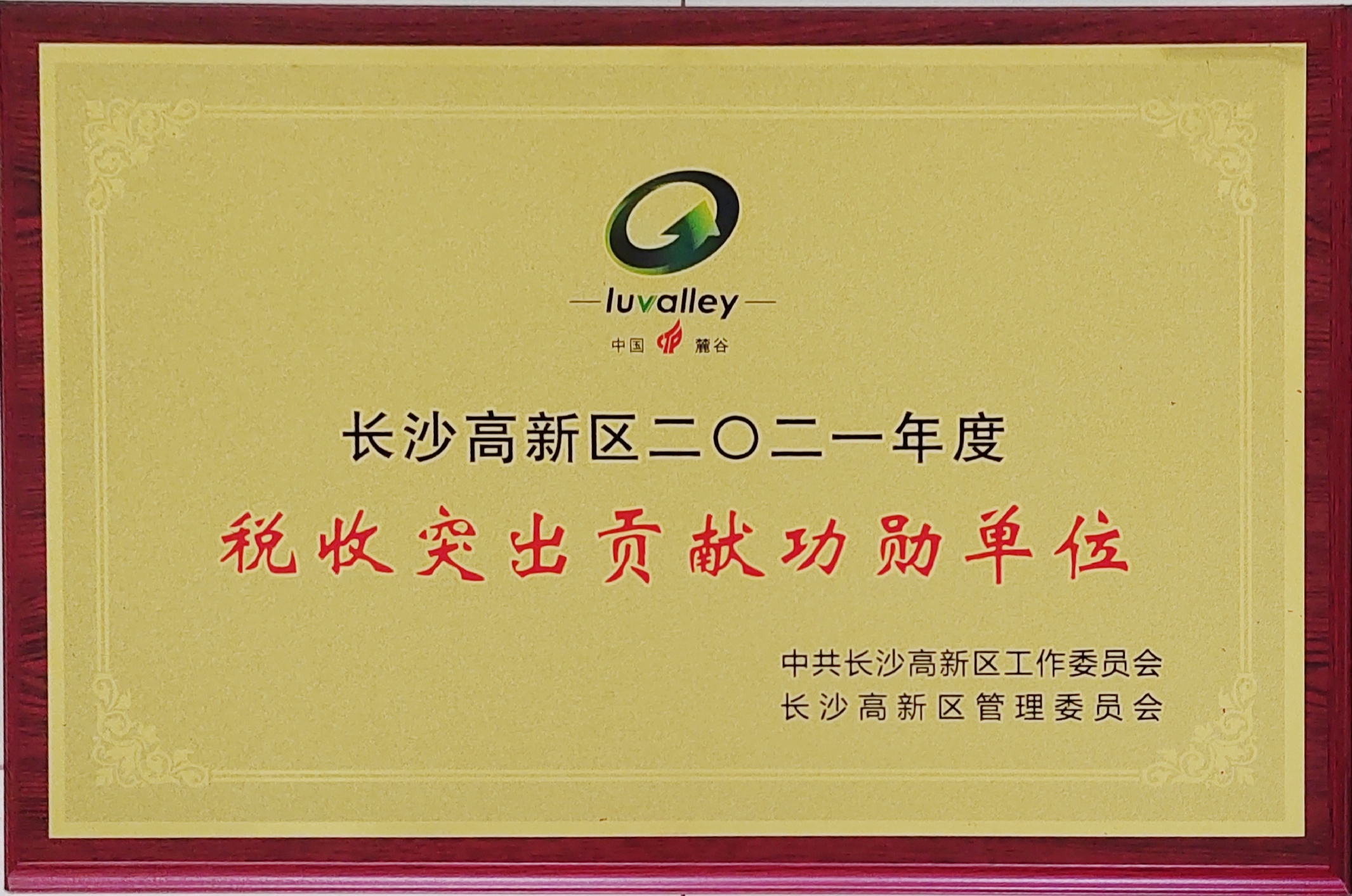 九芝堂蟬聯(lián)長沙市高新區(qū)“稅收突出貢獻(xiàn)功勛單位”！
